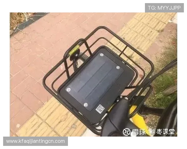 K8直营平台的运营模式详解，揭秘背后高效管理与优质服务的秘密